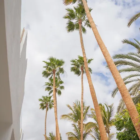 アパート Palm Fuerteventura *