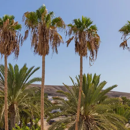 Palm Fuerteventura タラハレホ